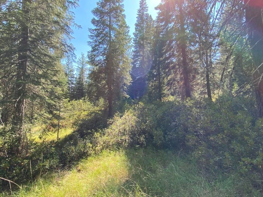 3-e-49 Red Fir Road McCloud, CA 96057 - Photo 4 of 12 Gallery Image 4