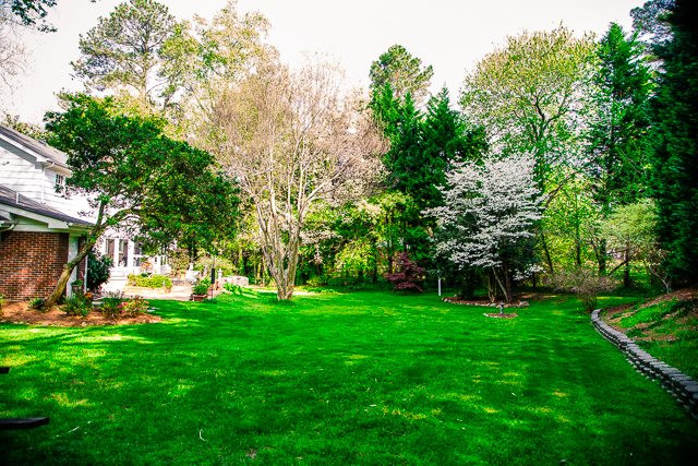 4808 Poland Place Raleigh, NC 27609 - Photo 6 of 25 back yard