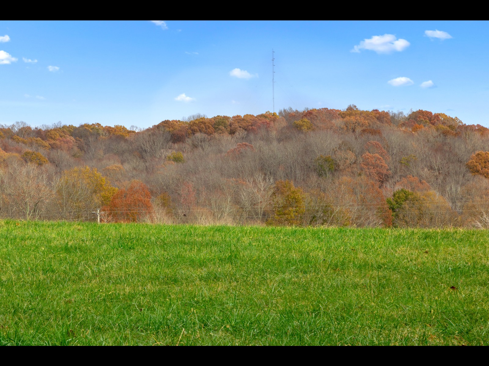 740 Potter Road Dickson, TN 37055 - Photo 22 of 24 a view of a backyard of a house