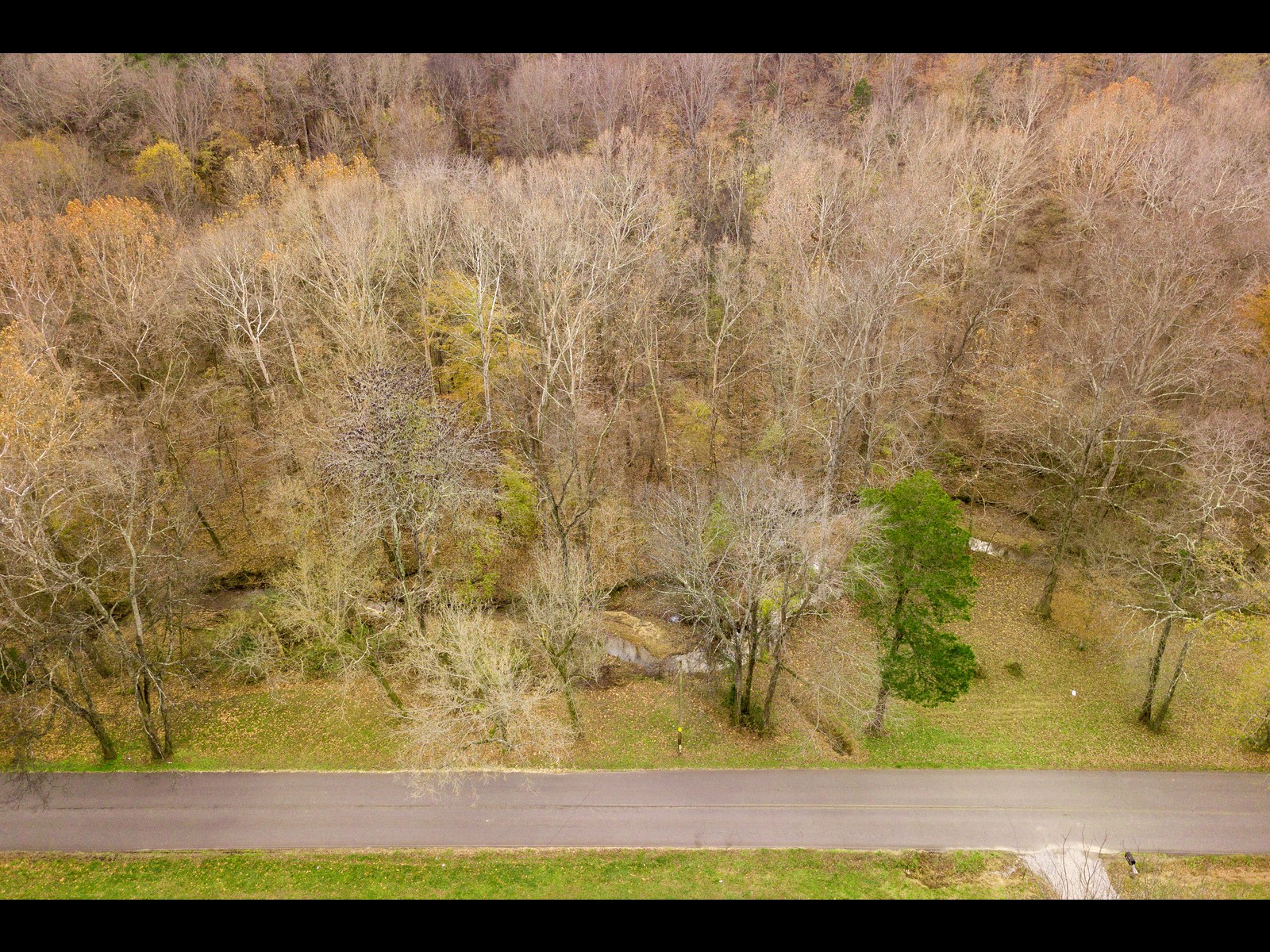 740 Potter Road Dickson, TN 37055 - Photo 23 of 24 a view of pathway with yard in back