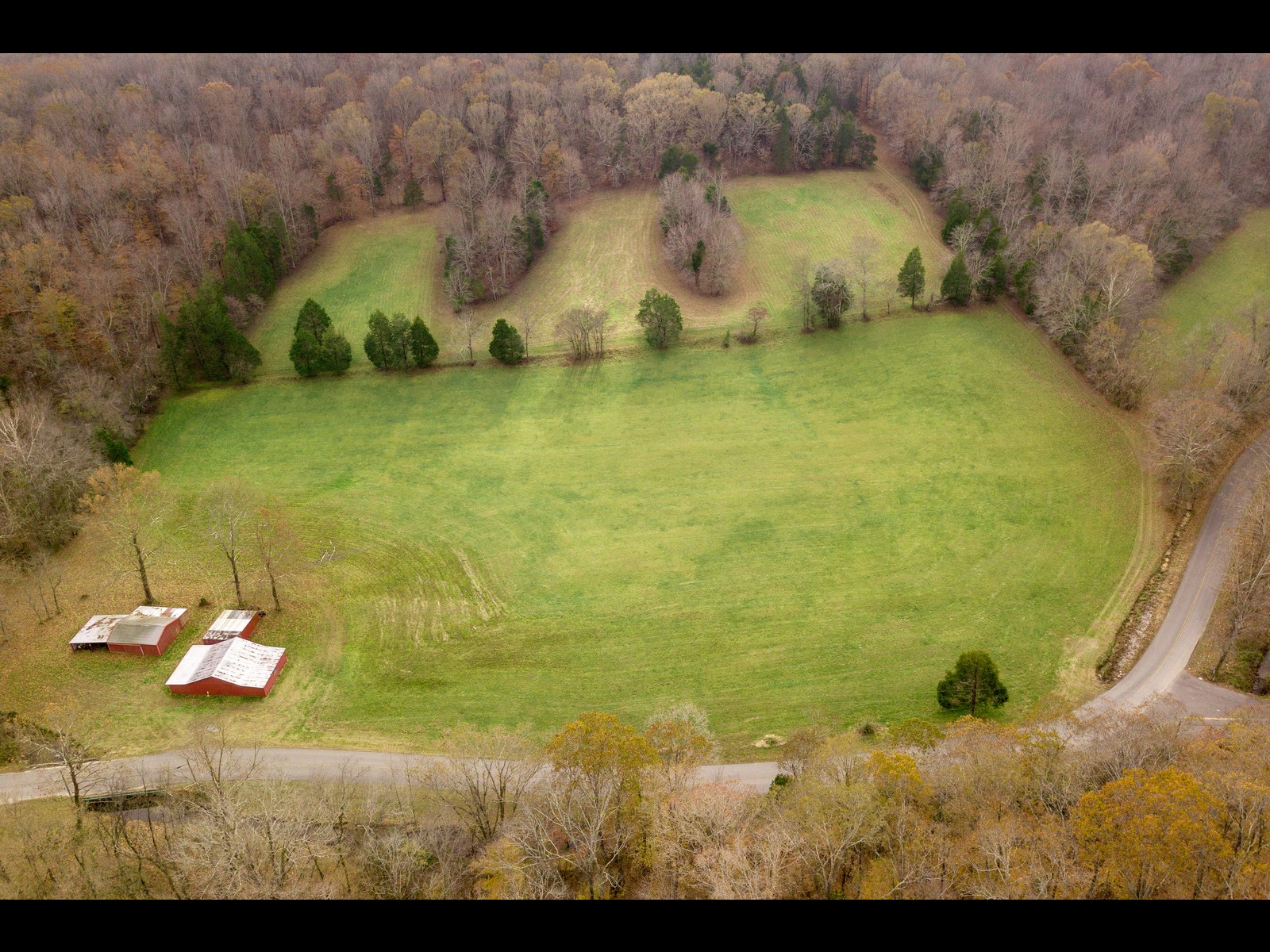 740 Potter Road Dickson, TN 37055 - Photo 5 of 24 a view of swimming pool