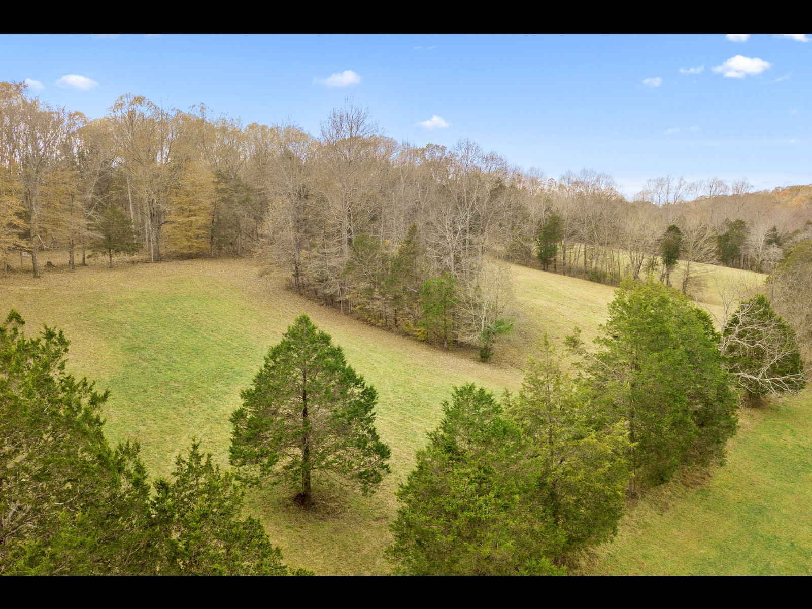740 Potter Road Dickson, TN 37055 - Photo 9 of 24 a view of an outdoor space and mountain view