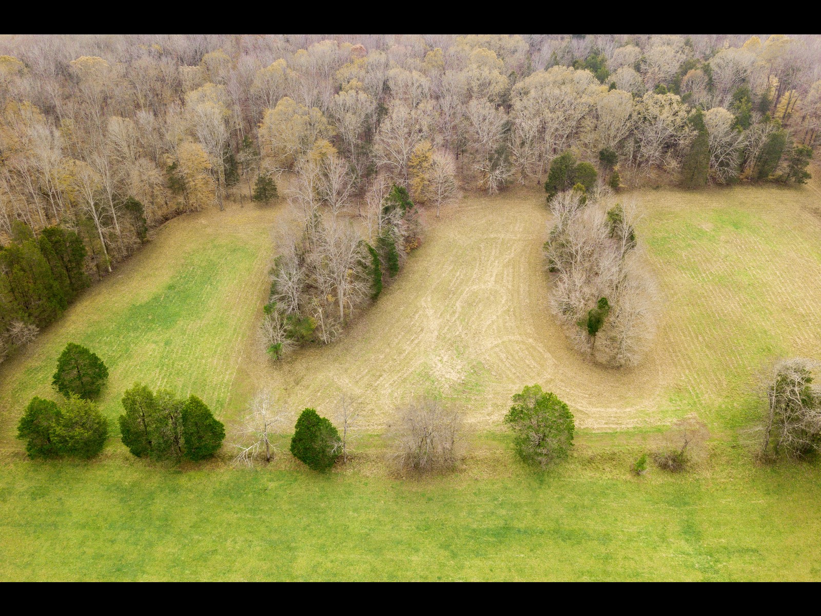 740 Potter Road Dickson, TN 37055 - Photo 10 of 24
