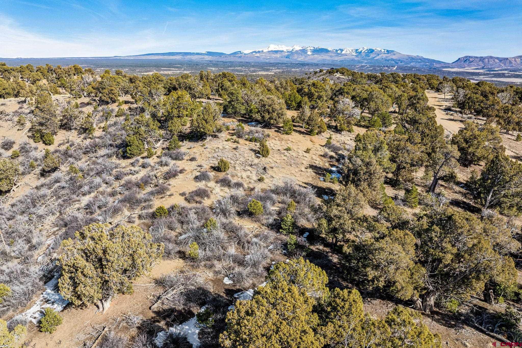 35.3 Road 35.3 Mancos, CO 81328 - Photo 1 of 14 a view of a sky from a yard