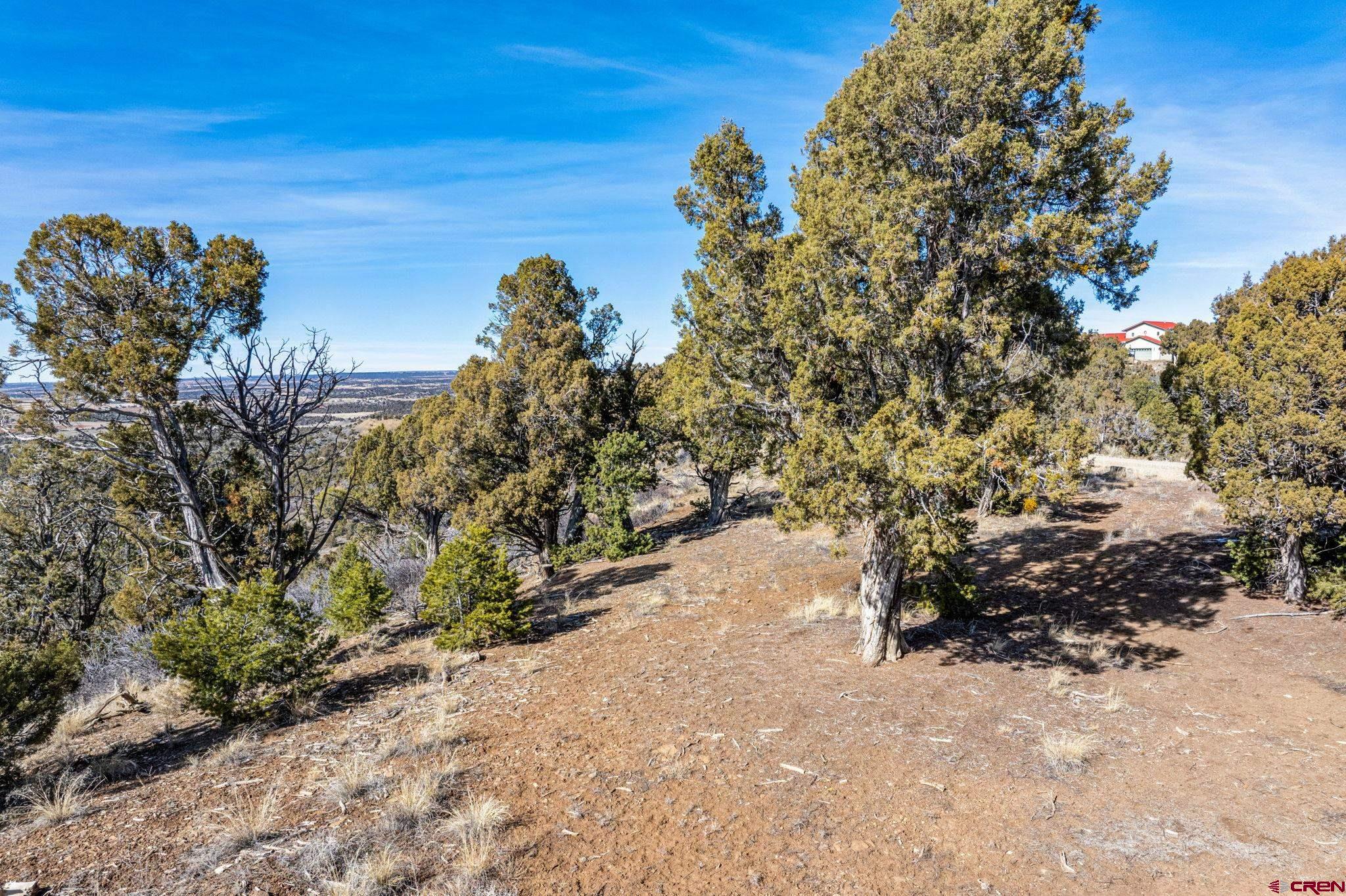 35.3 Road 35.3 Mancos, CO 81328 - Photo 11 of 14 a view of a field with plants and trees