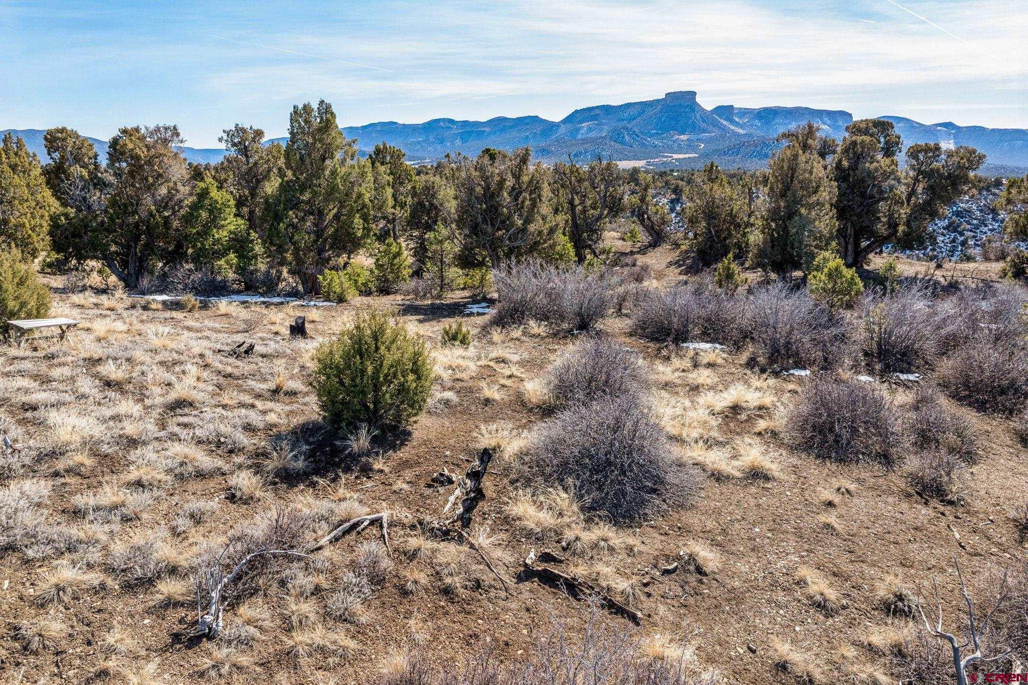35.3 Road 35.3 Mancos, CO 81328 - Photo 14 of 14