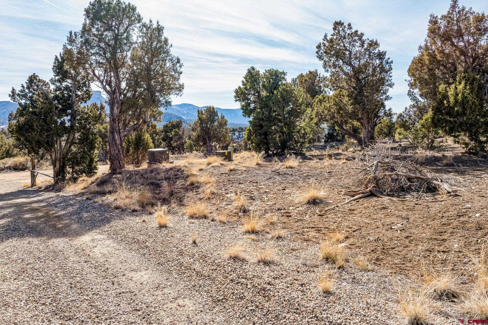 35.3 Road 35.3 Mancos, CO 81328 - Photo 2 of 14 a view of a yard with trees