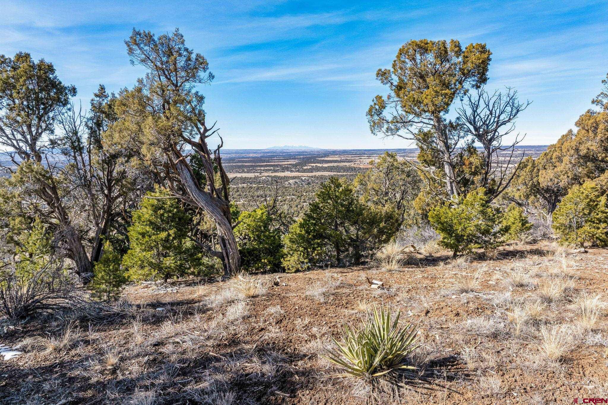 35.3 Road 35.3 Mancos, CO 81328 - Photo 2 of 14