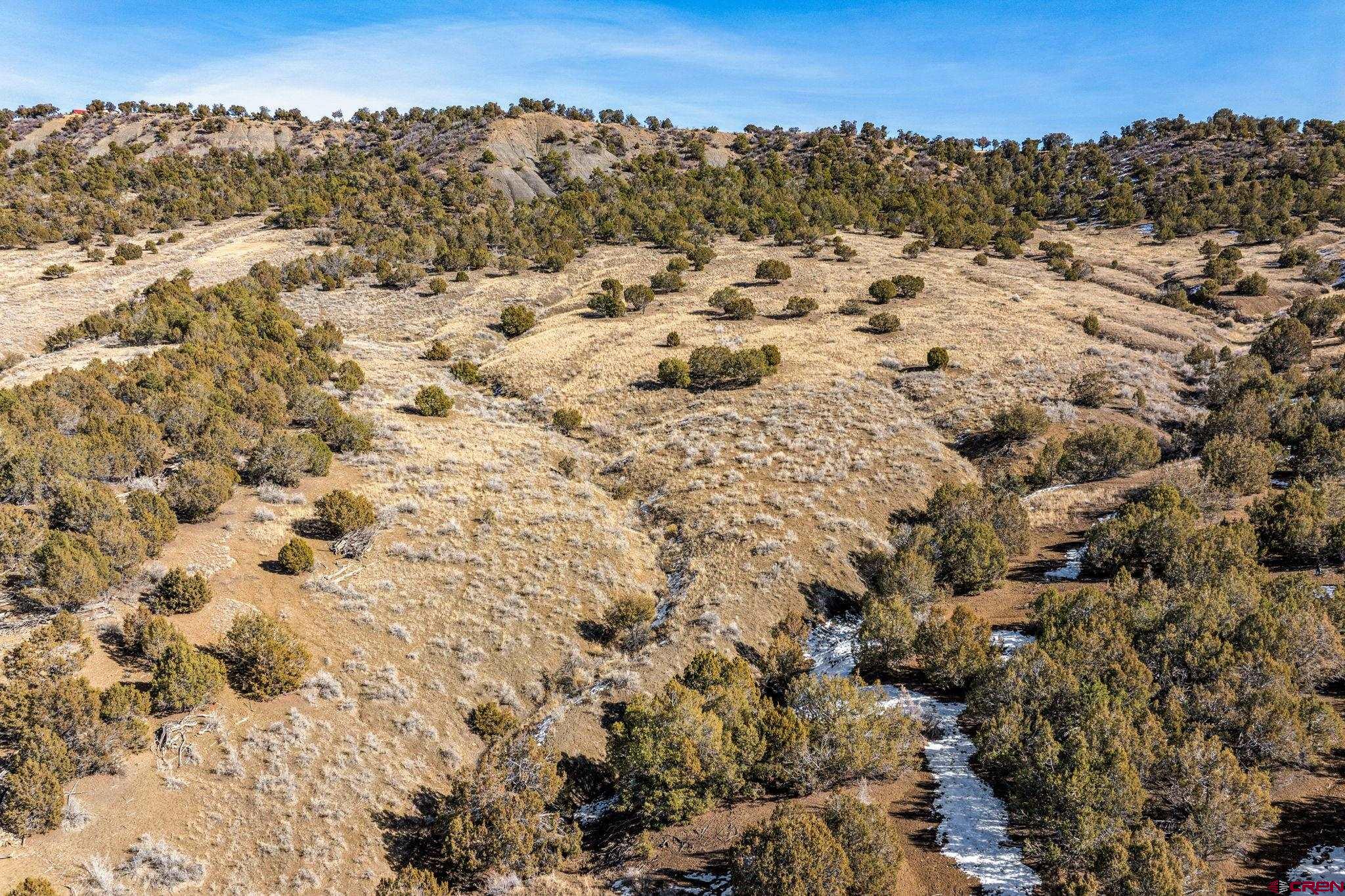 35.3 Road 35.3 Mancos, CO 81328 - Photo 5 of 14