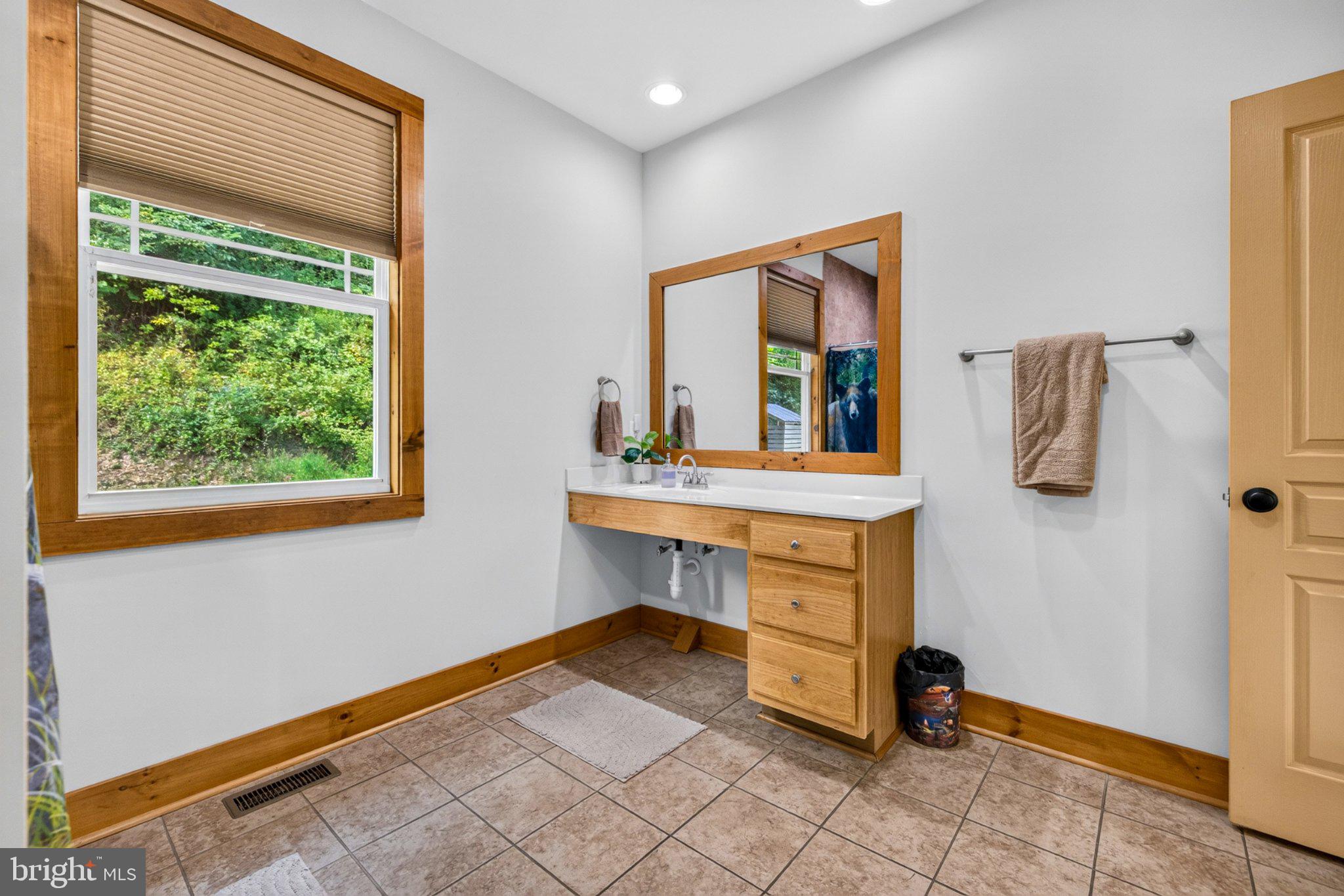 99 Fish Trap Path Luray, VA 22835 - Photo 28 of 149 Gallery Image 28