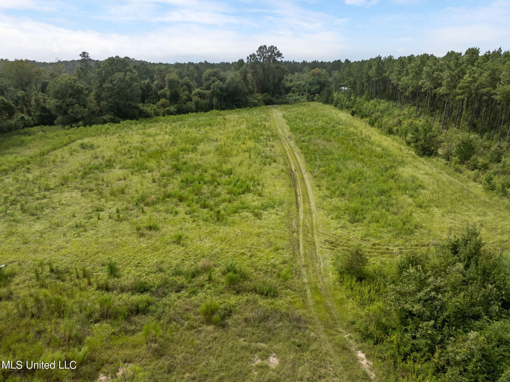 29-ac Old Rifle Range Road Petal, MS 39465 - Photo 11 of 23 0_Old_Rifle_Range_Rd-11