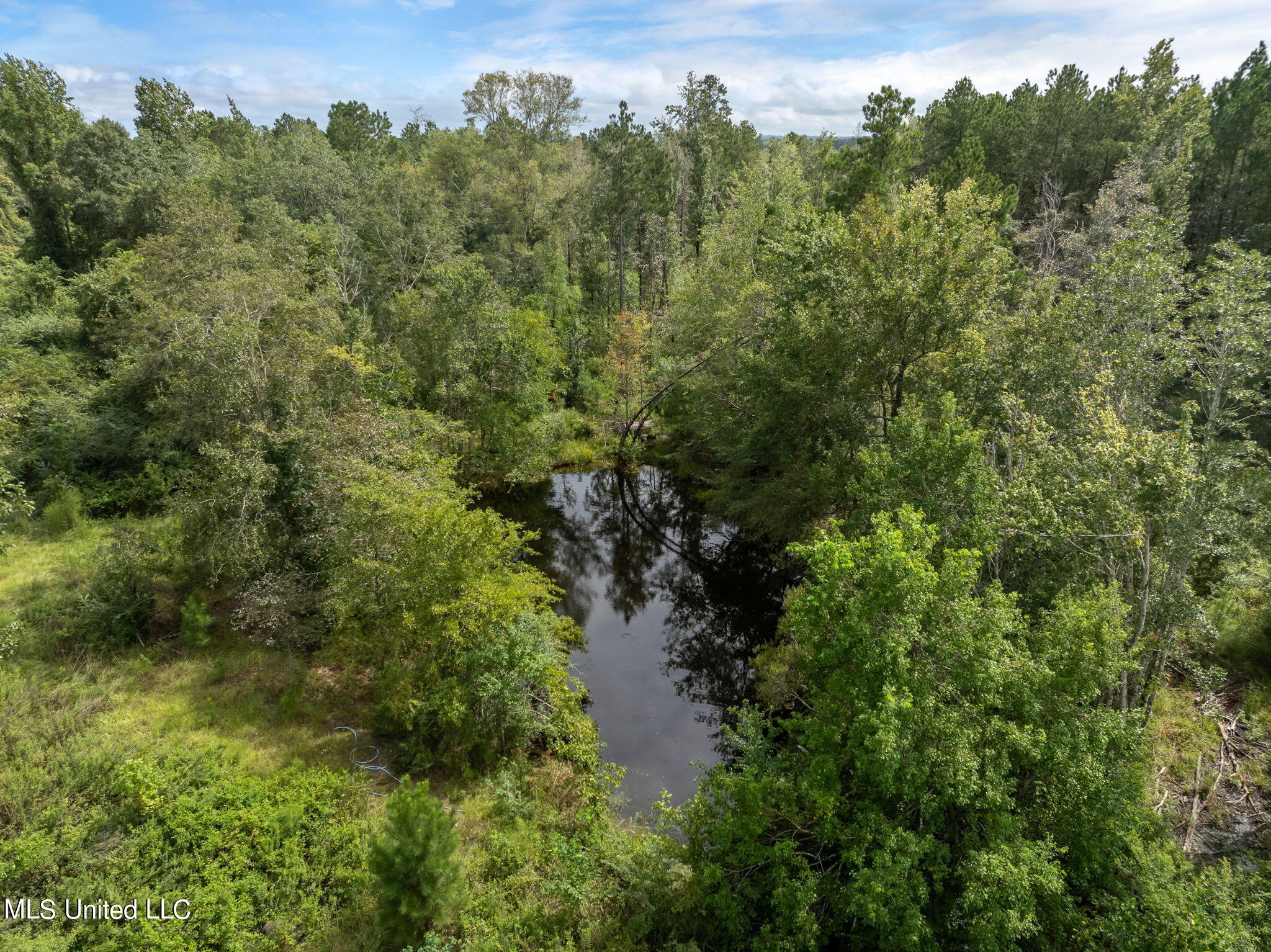 29-ac Old Rifle Range Road Petal, MS 39465 - Photo 15 of 23 0_Old_Rifle_Range_Rd-15