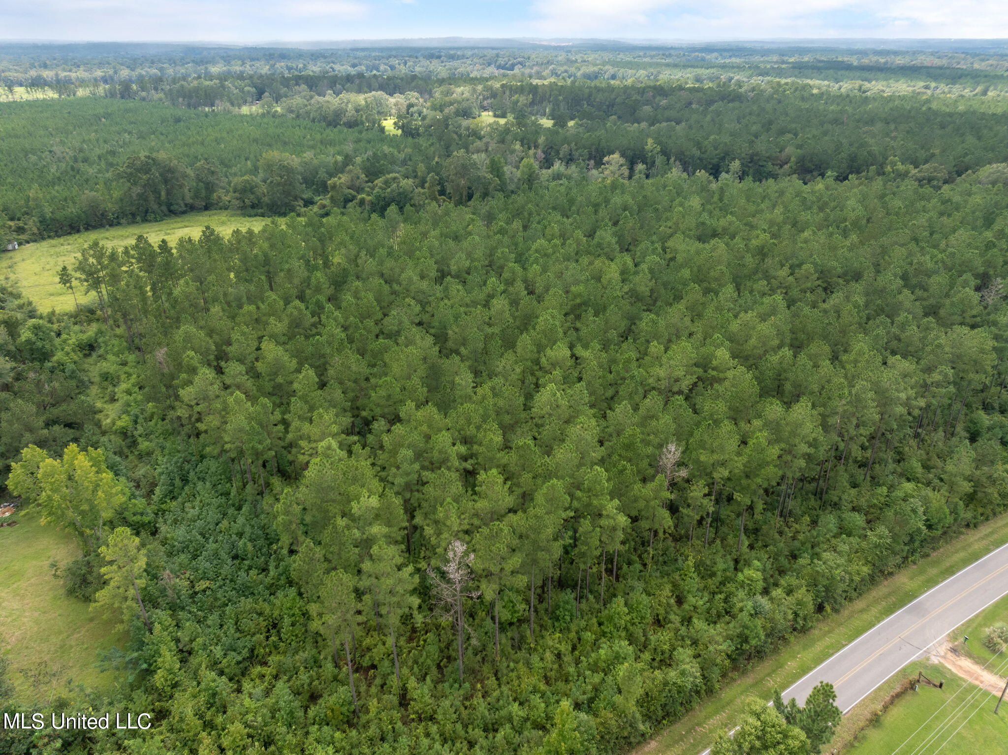 29-ac Old Rifle Range Road Petal, MS 39465 - Photo 17 of 23 0_Old_Rifle_Range_Rd-17