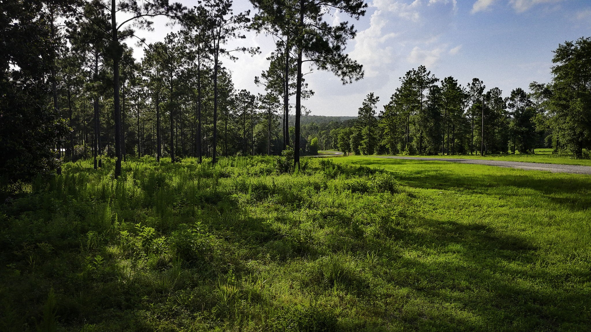 Tbd Lot 5 Tbd Road Livingston, TX 77351 - Photo 23 of 24 Gallery Image 23