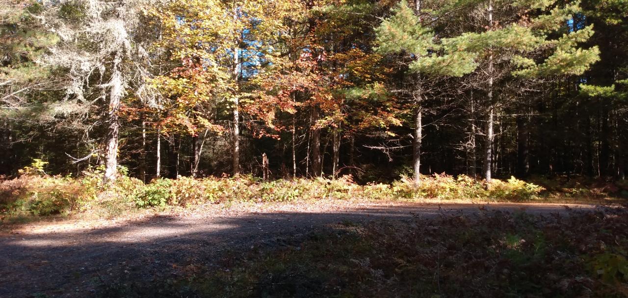 On Moonshine Valley Road Presque Isle, WI 54557 - Photo 5 of 20 Gallery Image 5