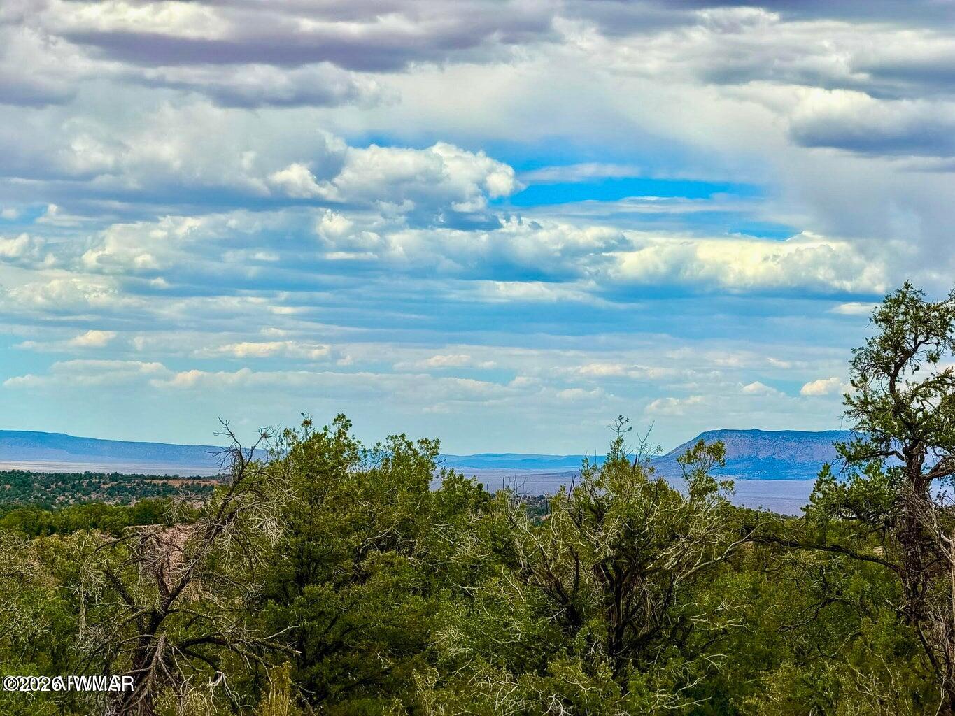 34962 West Hidalgo Road Seligman, AZ 86337 - Photo 22 of 28