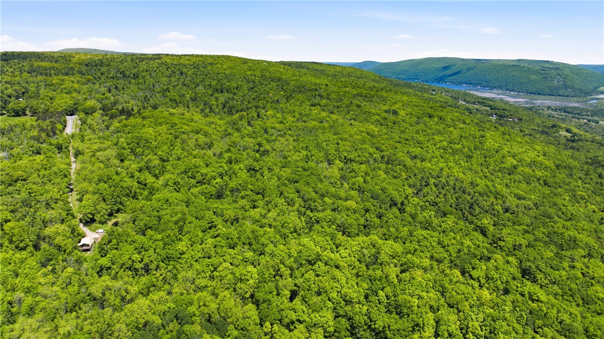 6651 Longsdorf Road Naples, NY 14512 - Photo 43 of 47 9.9 acres in the beautiful Finger Lakes