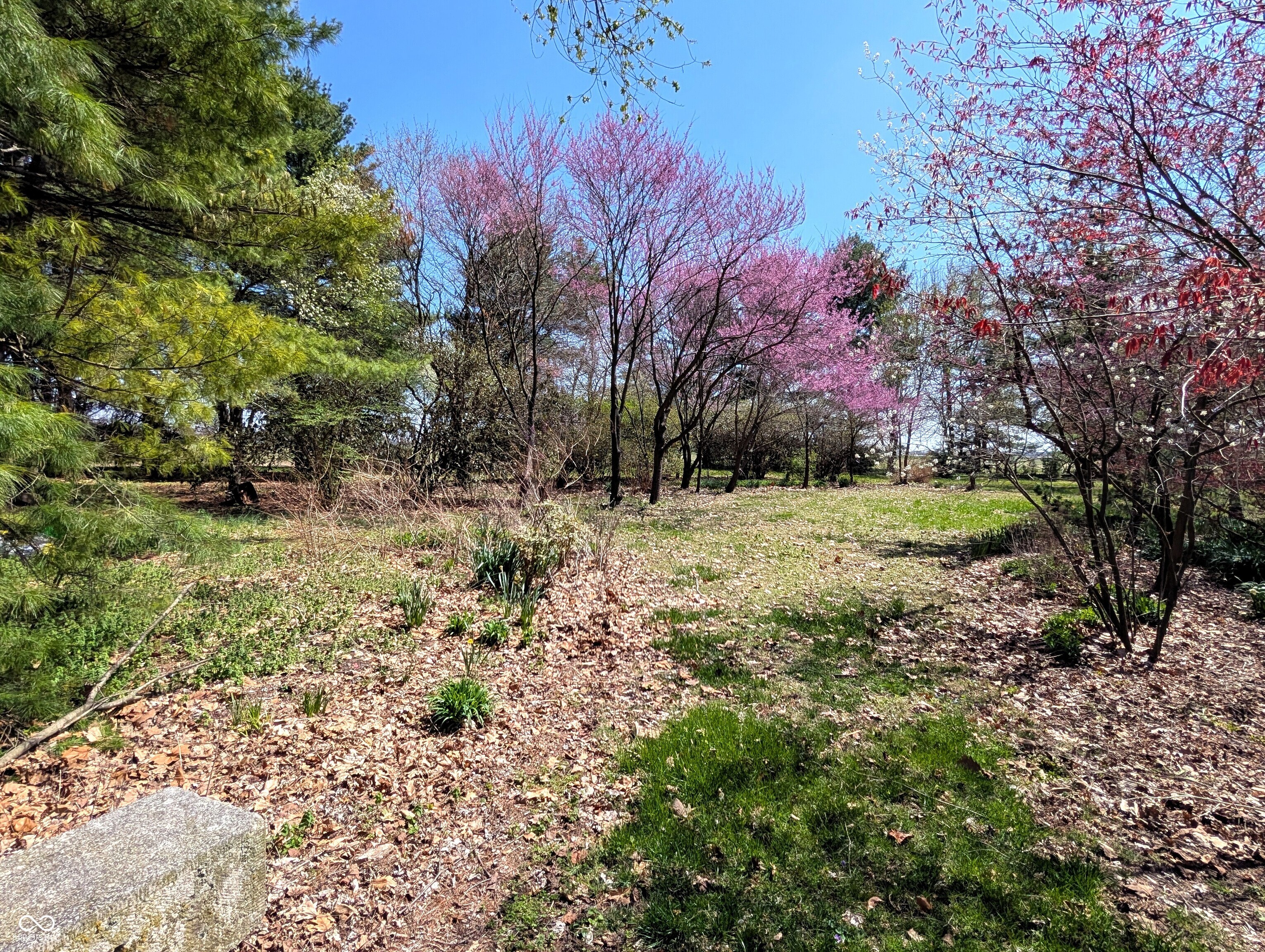 13131 North 200 West Edinburgh, IN 46124 - Photo 76 of 94