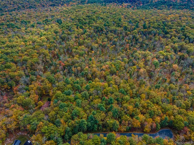 $39,000 | Taras Schevchenko (lot 23) Road, Glen Spey, NY 12737