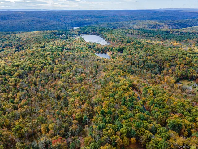 $39,000 | Taras Schevchenko (lot 23) Road, Glen Spey, NY 12737