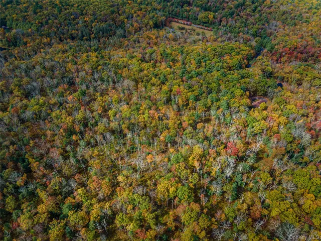 $39,000 | Taras Schevchenko (lot 23) Road, Glen Spey, NY 12737