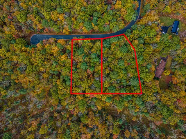 $39,000 | Taras Schevchenko (lot 23) Road, Glen Spey, NY 12737
