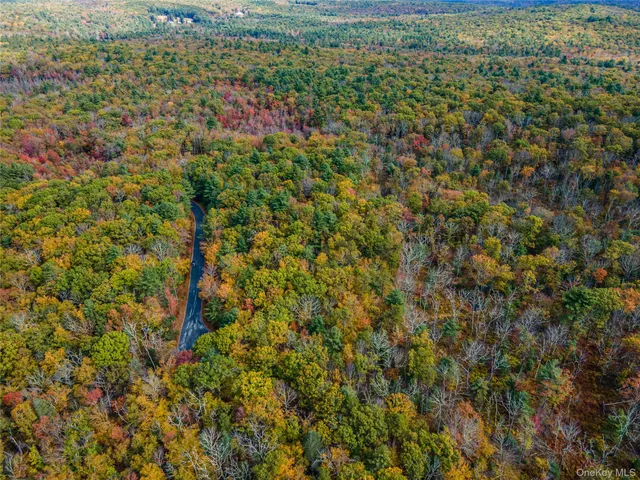 $39,000 | Taras Schevchenko (lot 23) Road, Glen Spey, NY 12737
