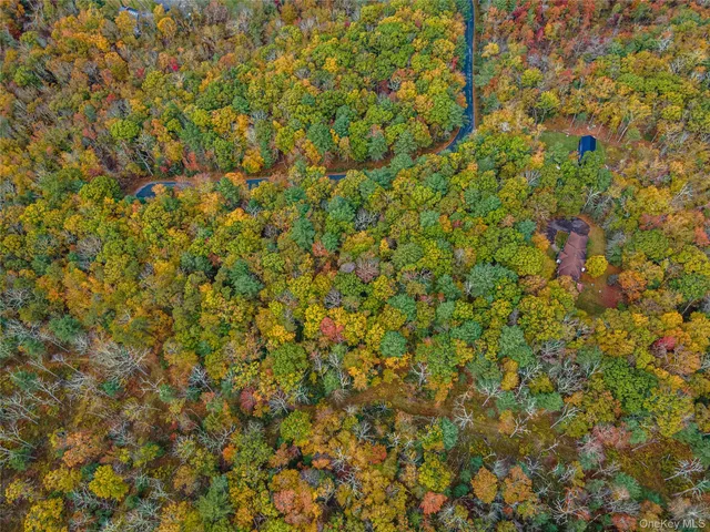 $39,000 | Taras Schevchenko (lot 23) Road, Glen Spey, NY 12737