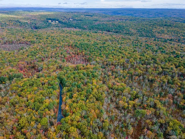 $39,000 | Taras Schevchenko (lot 23) Road, Glen Spey, NY 12737