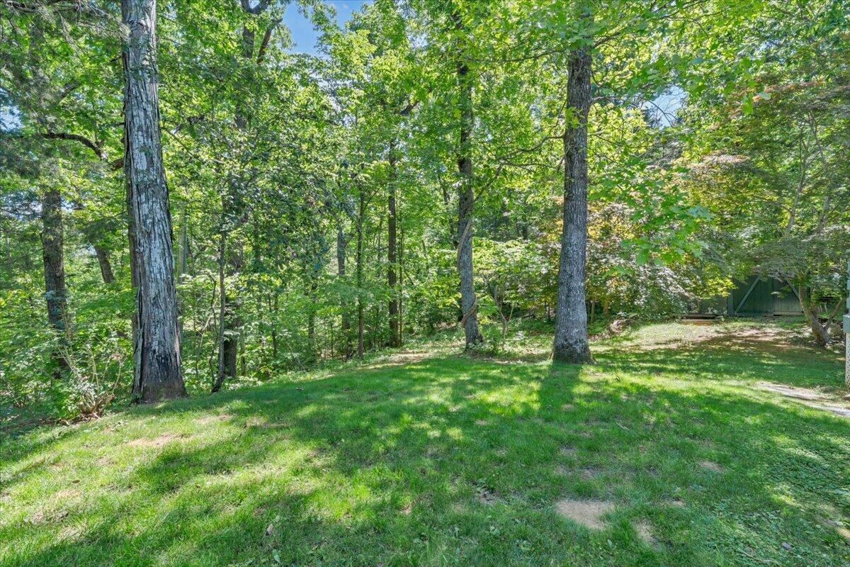 581 Idle Acres Road Fincastle, VA 24090 - Photo 85 of 95 031-MIB03558