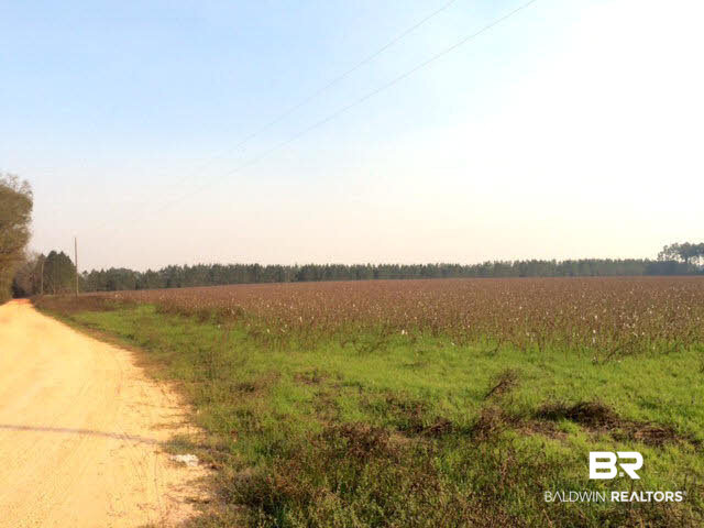 0 Pineview Cemetery Road Brewton, AL 36426 - Photo 2 of 4