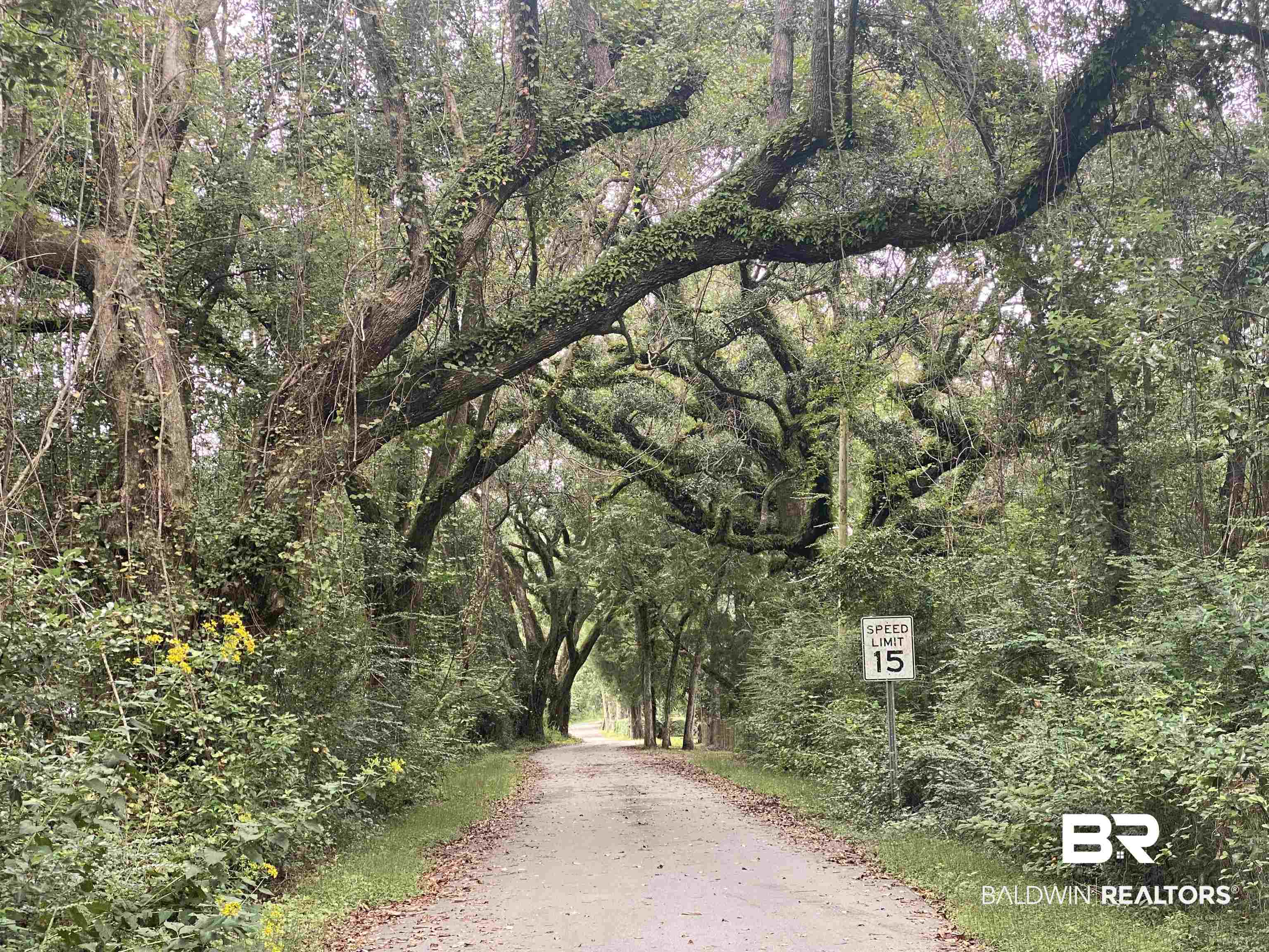 24325 Ramsey Road Fairhope, AL 36532 - Photo 2 of 16 Ramsey Road Views