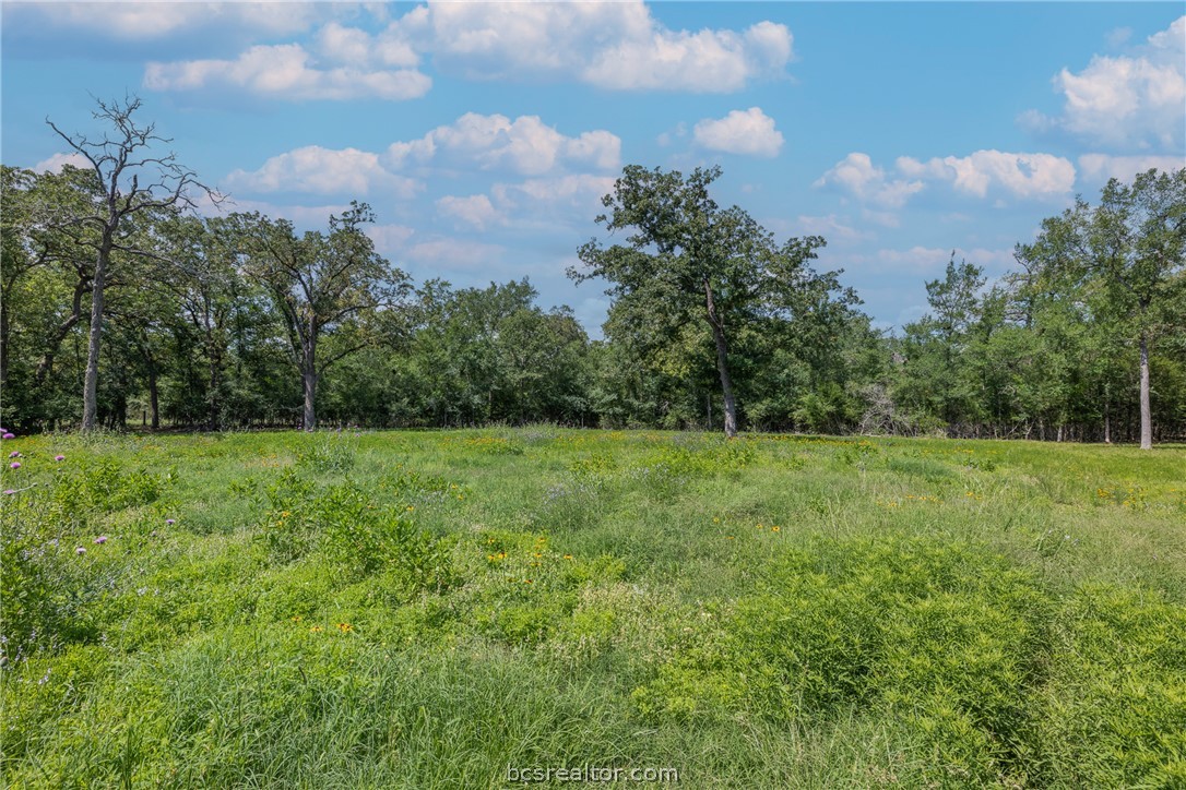 7132 Serenity Ranch Road Somerville, TX 77879 - Photo 17 of 27