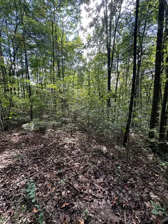 $89,000 | 1 Burning Ember Murphy Nc 28906, Murphy, NC 28906