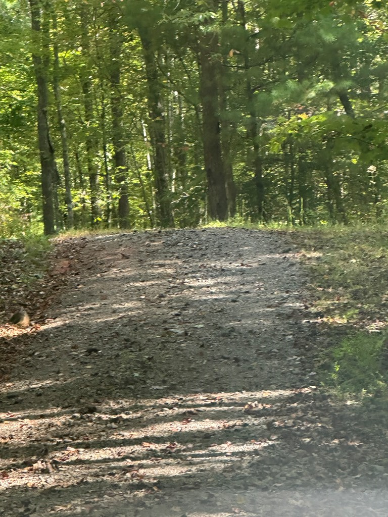 1 Burning Ember Murphy Nc 28906 Murphy, NC 28906 - Photo 13 of 17