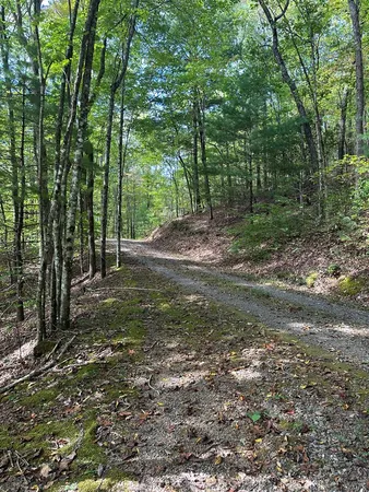 $89,000 | 1 Burning Ember Murphy Nc 28906, Murphy, NC 28906