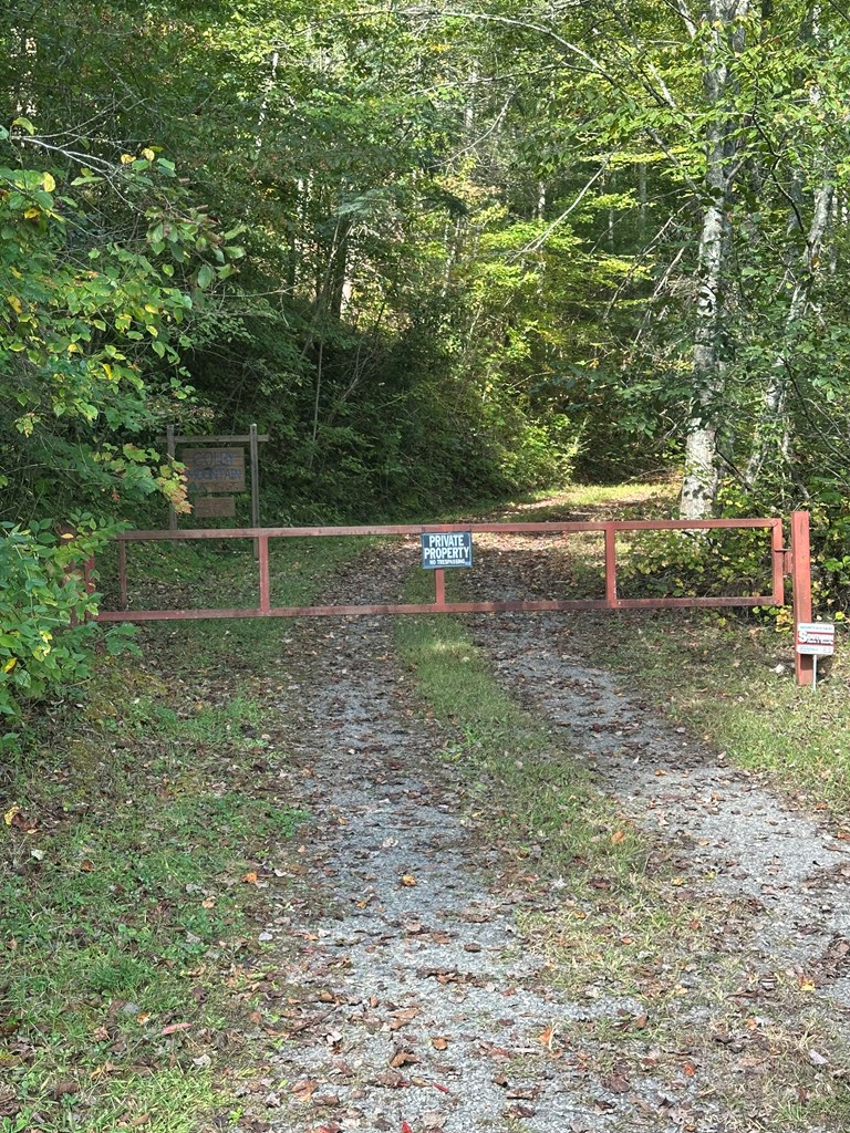 1 Burning Ember Murphy Nc 28906 Murphy, NC 28906 - Photo 17 of 17