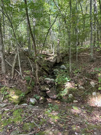 $89,000 | 1 Burning Ember Murphy Nc 28906, Murphy, NC 28906