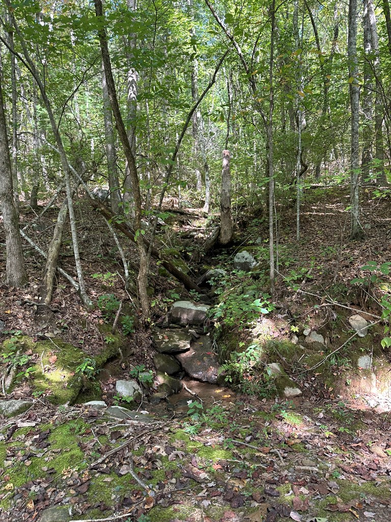 1 Burning Ember Murphy Nc 28906 Murphy, NC 28906 - Photo 3 of 17