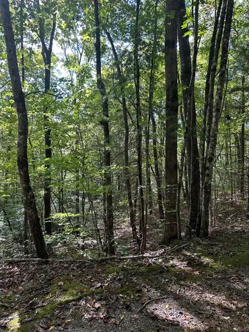 $99,000 | 1 Burning Ember Murphy Nc 28906, Murphy, NC 28906