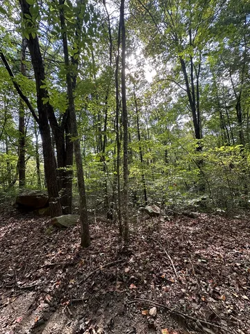 $99,000 | 1 Burning Ember Murphy Nc 28906, Murphy, NC 28906