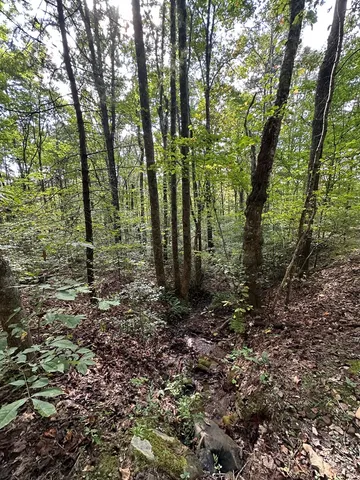 $99,000 | 1 Burning Ember Murphy Nc 28906, Murphy, NC 28906