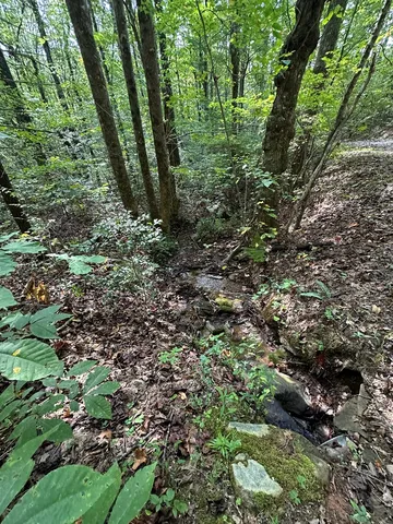 $99,000 | 1 Burning Ember Murphy Nc 28906, Murphy, NC 28906