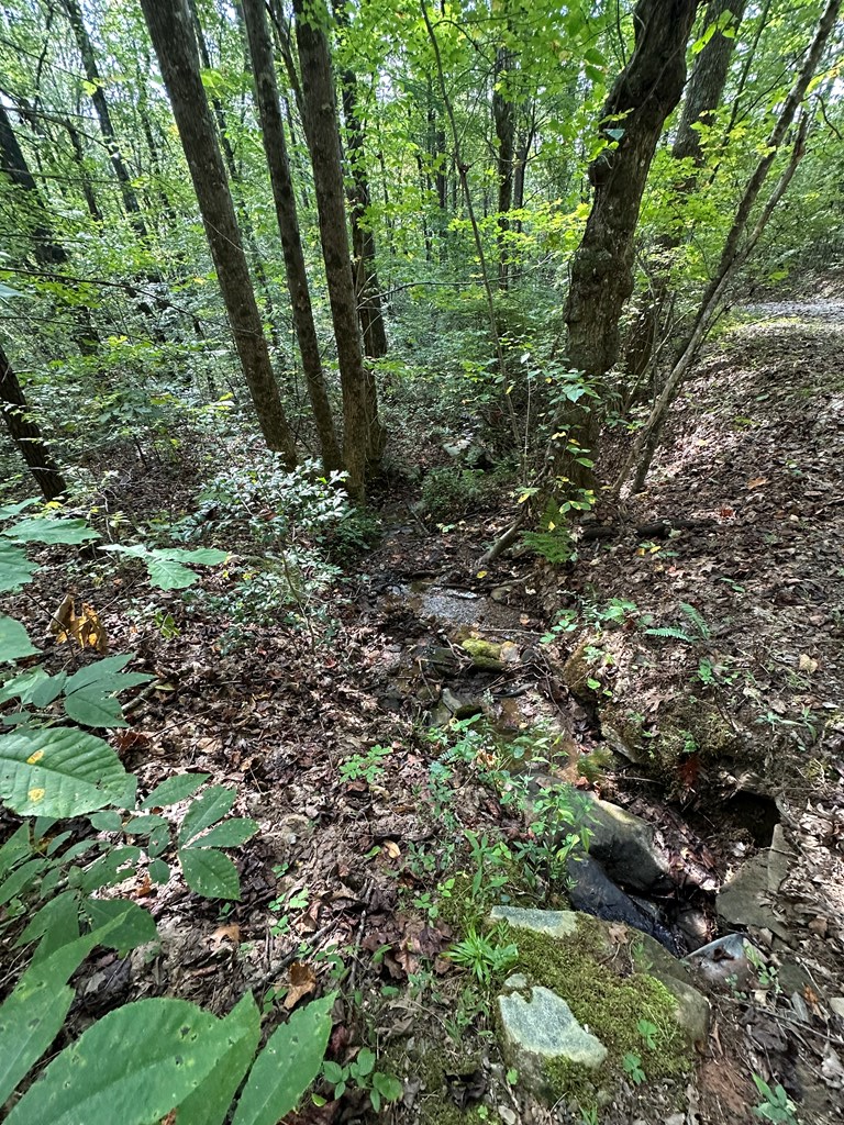 1 Burning Ember Murphy Nc 28906 Murphy, NC 28906 - Photo 7 of 17