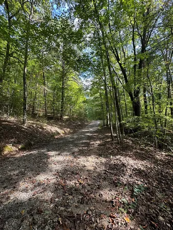 $89,000 | 1 Burning Ember Murphy Nc 28906, Murphy, NC 28906