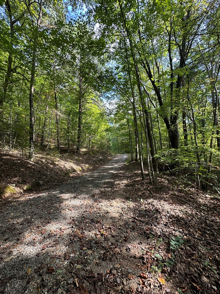 1 Burning Ember Murphy Nc 28906 Murphy, NC 28906 - Photo 8 of 17