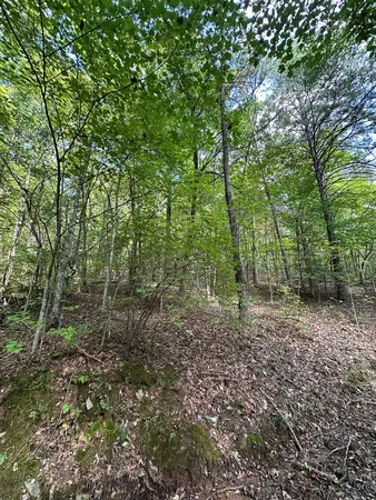 $89,000 | 1 Burning Ember Murphy Nc 28906, Murphy, NC 28906