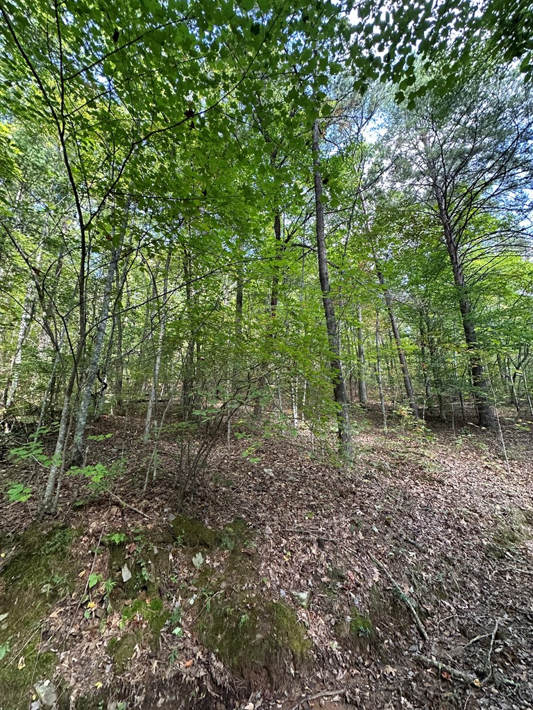 1 Burning Ember Murphy Nc 28906 Murphy, NC 28906 - Photo 9 of 17