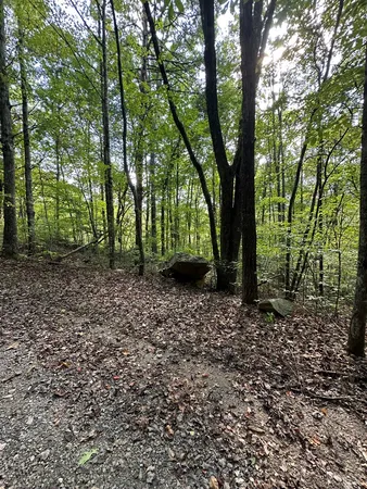 $89,000 | 1 Burning Ember Murphy Nc 28906, Murphy, NC 28906