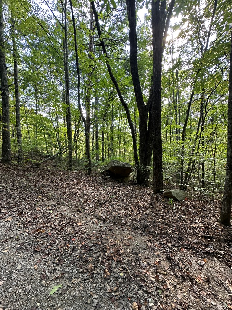 1 Burning Ember Murphy Nc 28906 Murphy, NC 28906 - Photo 10 of 17